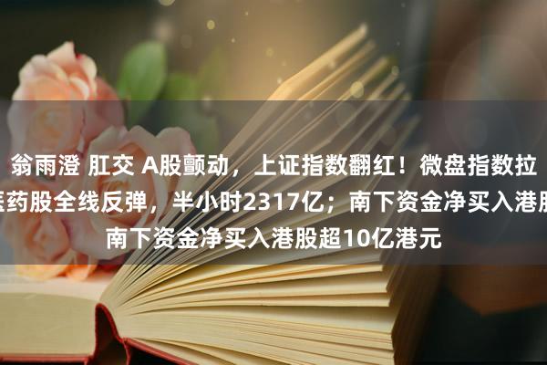 翁雨澄 肛交 A股颤动，上证指数翻红！微盘指数拉升1.75%，医药股全线反弹，半小时2317亿；南下资金净买入港股超10亿港元