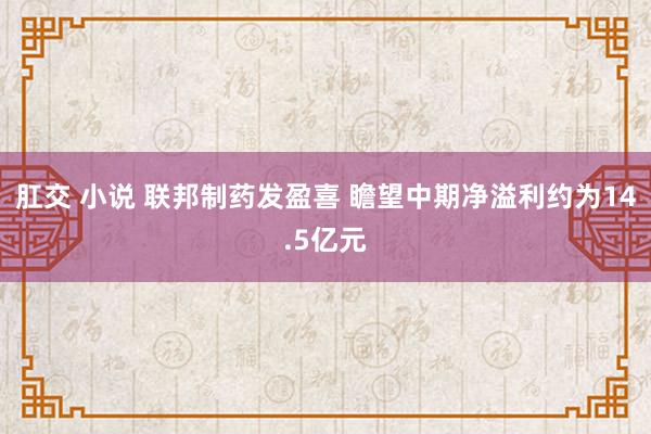 肛交 小说 联邦制药发盈喜 瞻望中期净溢利约为14.5亿元