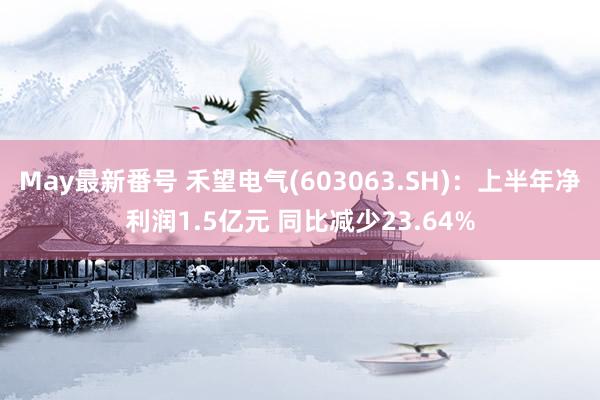 May最新番号 禾望电气(603063.SH)：上半年净利润1.5亿元 同比减少23.64%