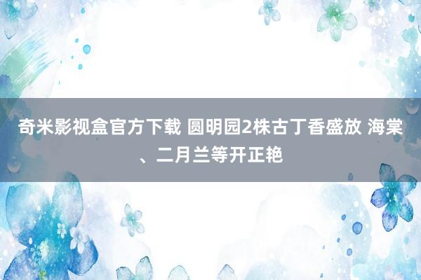 奇米影视盒官方下载 圆明园2株古丁香盛放 海棠、二月兰等开正艳