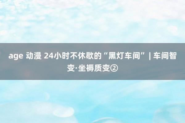 age 动漫 24小时不休歇的“黑灯车间” | 车间智变·坐褥质变②